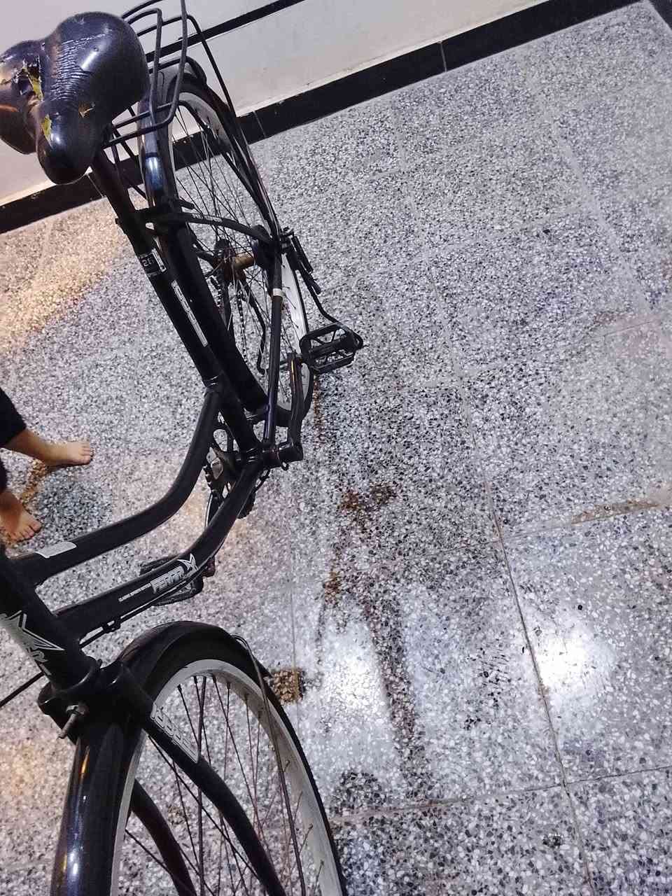 السلام عليكم بيسكل للبيع ياباني اصلي حجم 26 جديد بمعنى الكلمه السعر 80 مكان بغداد المحموديه ***********
