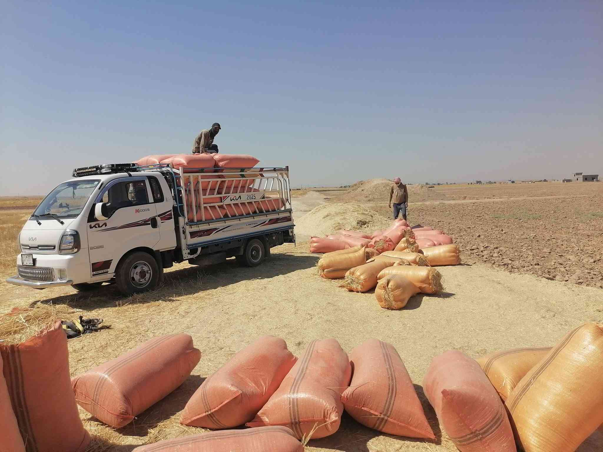 السلام عليكم يوجد تبن للبيع شلفان السعر ٣٠٠٠ الشليف واصل البيت ومال الحنطه مال السنه شرط نضيف القياس الشليف عرض ابو ٧٠ ارتفاع ١١٠ ويوجد خدمة توصيل والاستفسار *********** *********** /وملاحضه يوجد تبن عرباين دبل الكميه خير من الله /وشرط نضيف وناعم مال السنه /المكان قضاء الشرقاط قرية شاطي الجدر
