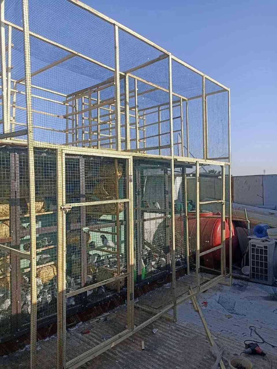 _سلام عليكم شباب
اشتغل ابراج وخانات ودشر اقفاص دجاج وجميع الابراج ولاقفاص
جميع التصاميم وبالميزانيه الي تناسبك 
شغل موقعي يعني اجيك لباب البيت مكاني بغداد الحسينيه مال راشديه
للأستفسار واتساب ***********
