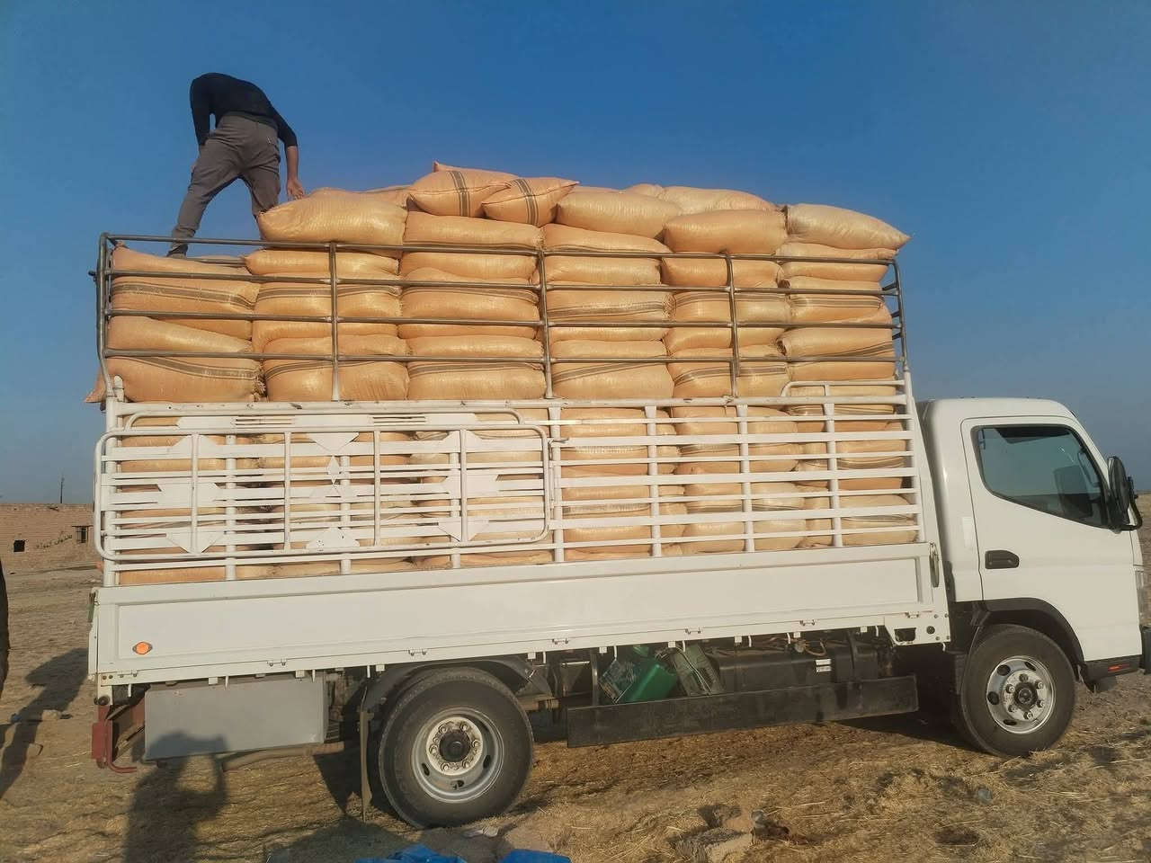 السلام عليكم ورحمه الله وبركاته
تبن للبيع شليف أبو 60 سعر الزوج مطروح بالمكان 2500 (***********)

نص مكتوب في الصور:
- السَّلَامُ عَلَيْكُمْ
- يوجد تبن للبيع - شليف ابو 60
- ترس فول - جودة عالية
- السعر بالمكان: 2,500 د.ع
- توصيل متوفر لجميع محافظات العراق
- +964 781 733 5145
- تبن شليف أبو 60 (ترس فول) السعر بالمكان: 2,500 د.ع يوجد توصيل لجميع محافظات العراق للتواصل والطلب: 5145 733 781 964+
- realme 11 Pro+ 5G