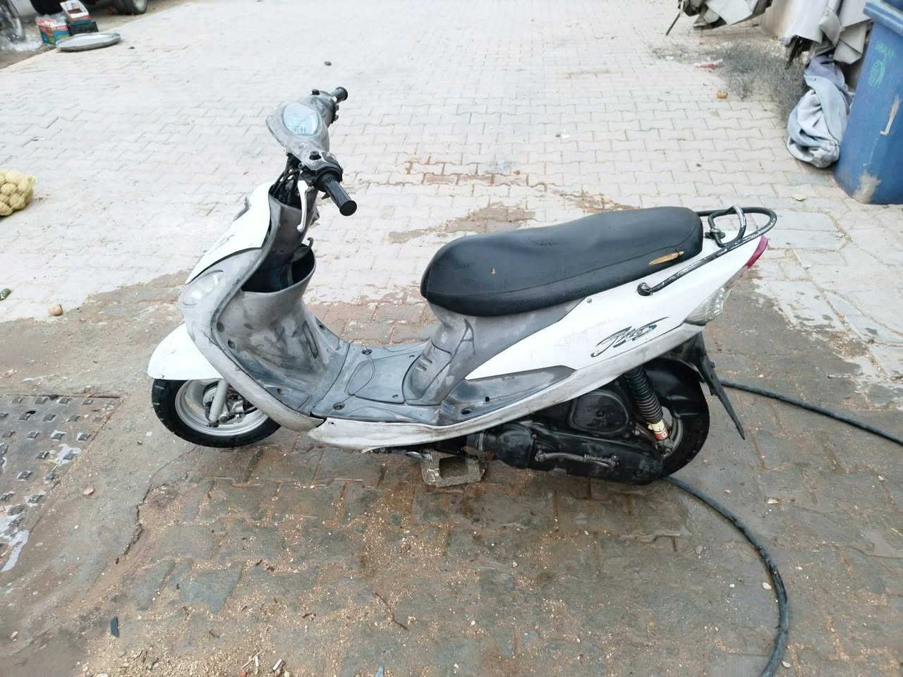 ماكس منغول • برغي • نضيفة