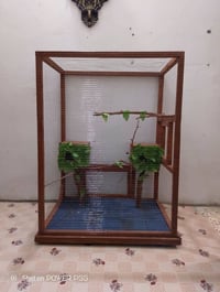 قفص طيور • ١٢٠×٩٠×٧٠سم • بصرة حيانية