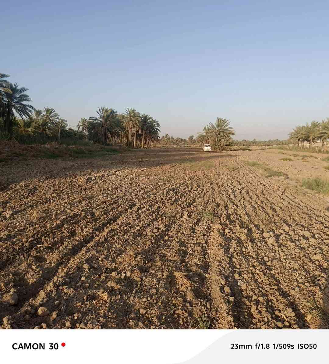 أرض زراعية • ٨ دونم • ٢٢ نخلة