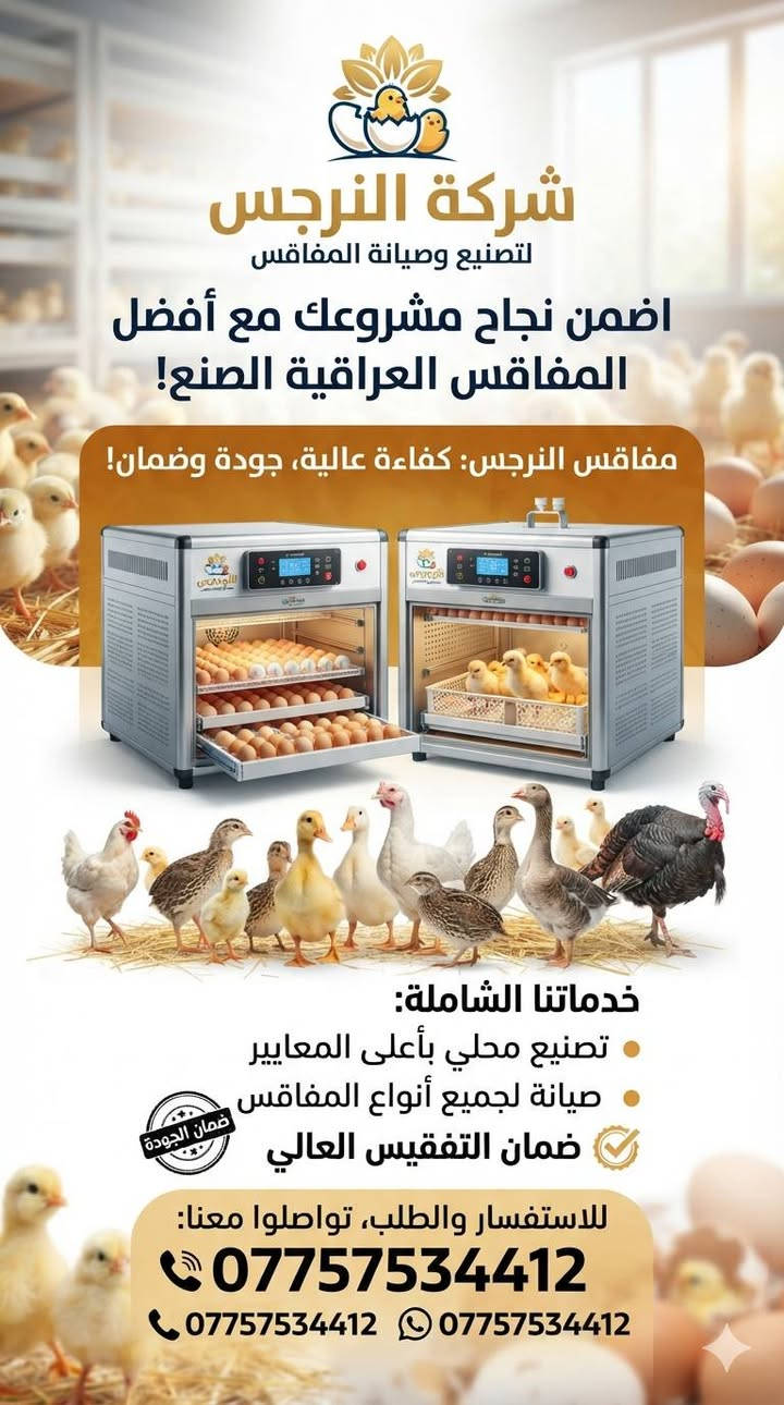 النرجس • مفاقس • ٥٠-١٥٠٠ بيضة