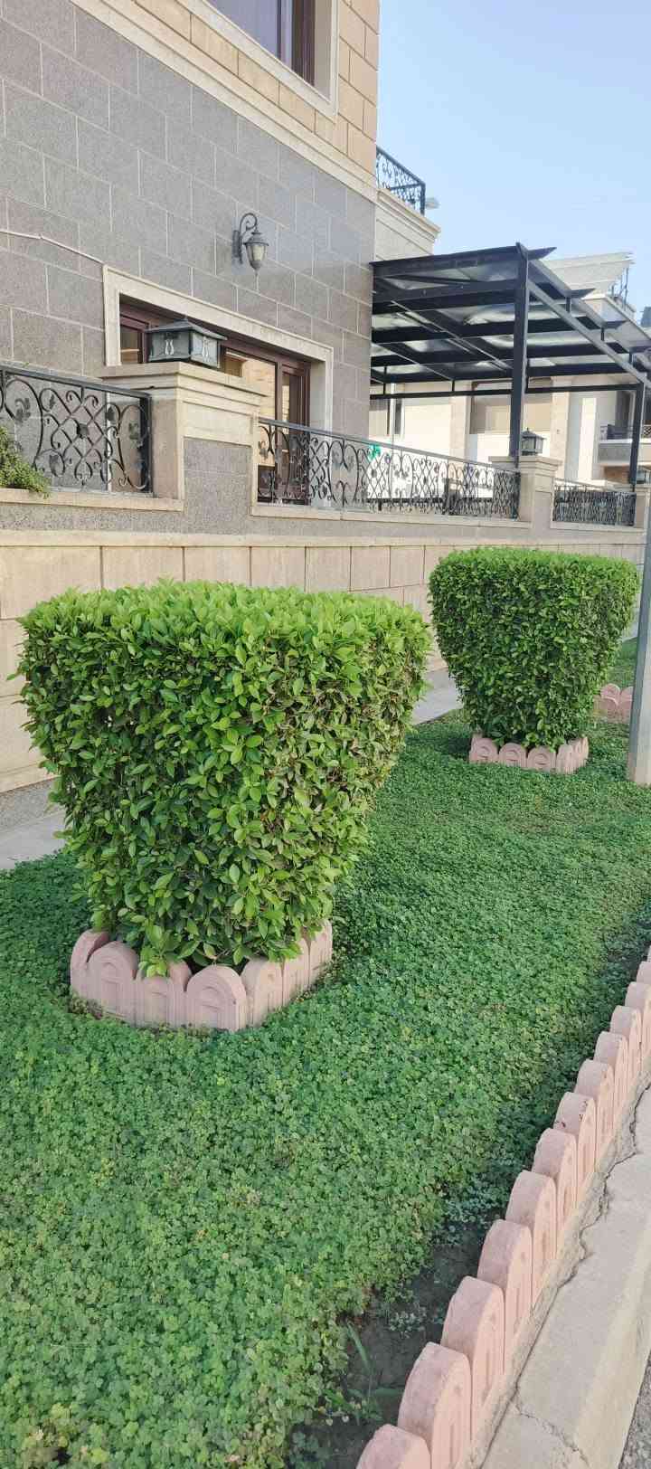 تنسيق حدائق • تنظيف يومي • رش مبيدات