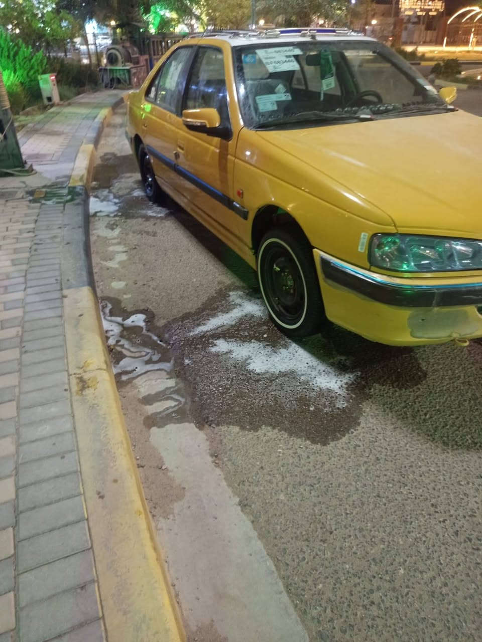 بيجو بارس • كفالة • الديوانية