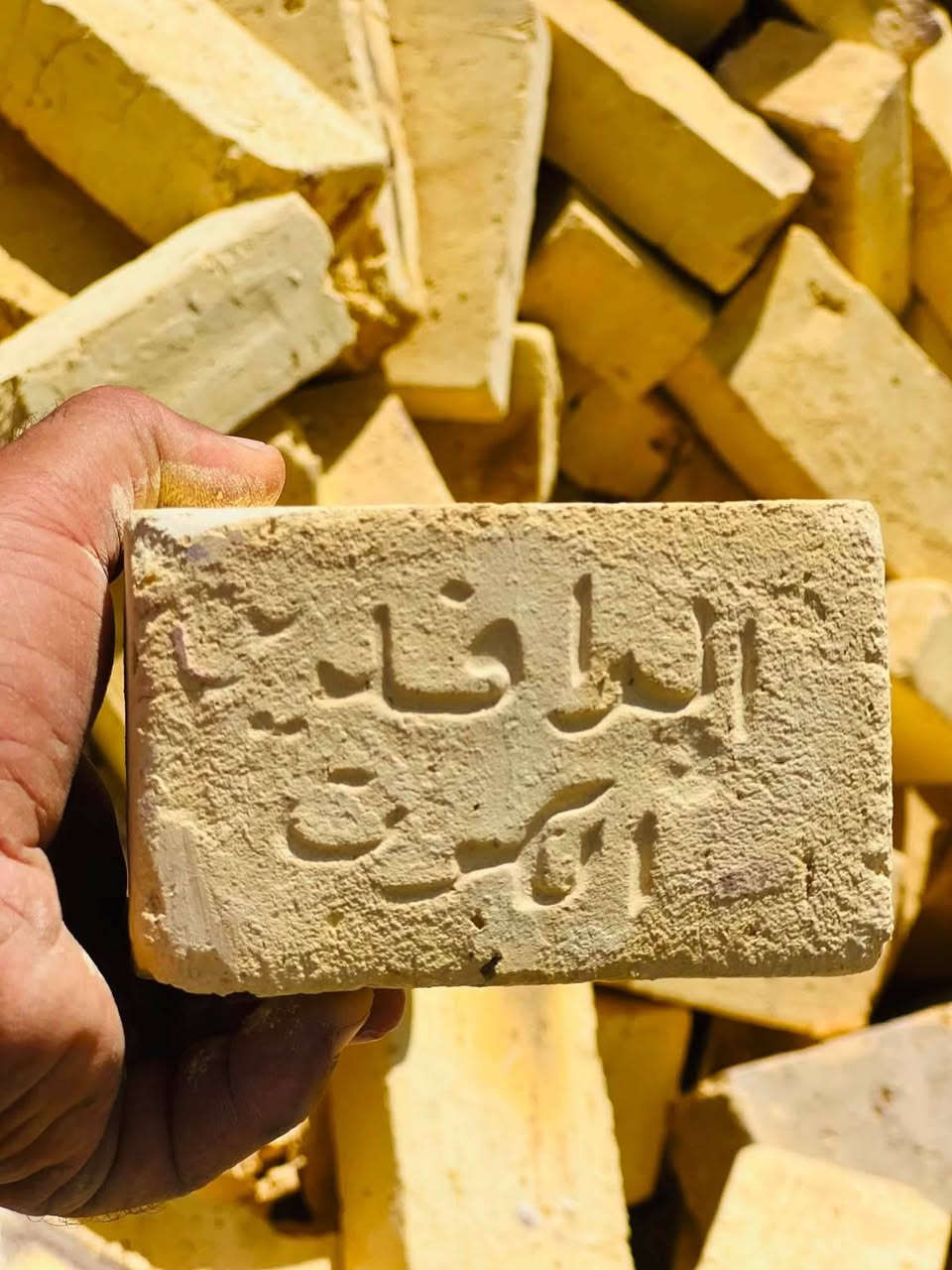 طابواق على المكلاب والسعرحسب البكان ***********فوال
