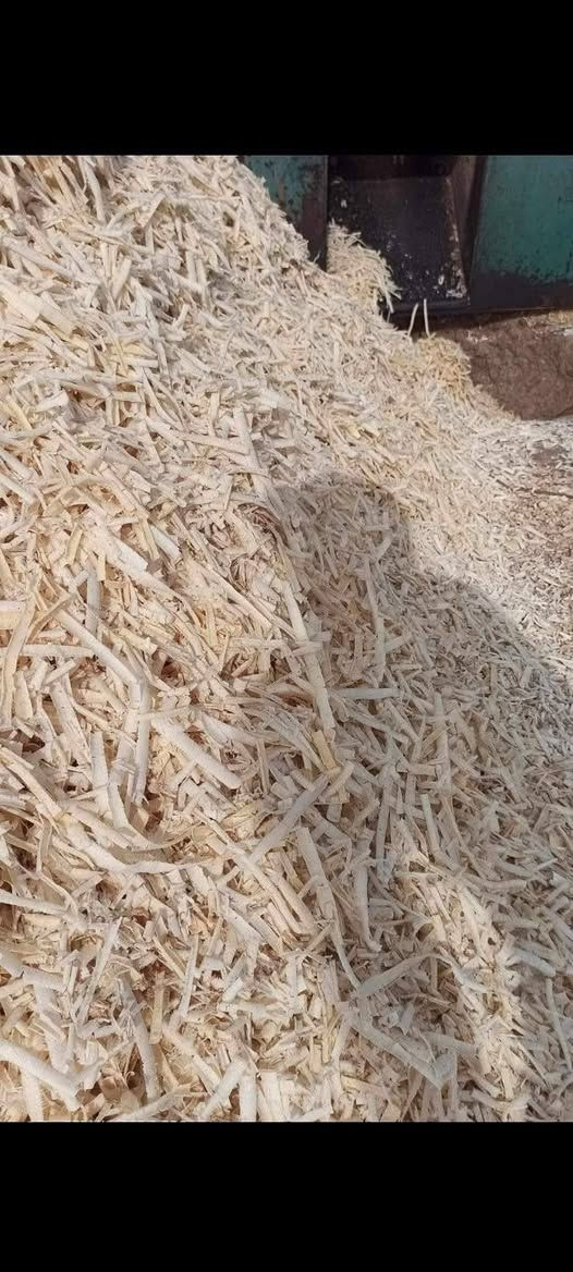::@:سلام عليكم يتوفر نشاره خشب البيع ترس فول مستعدون التجهيز كافه الحقول والمكاتب والمخازن توصيل الكل المحافظات من شمال الجنوب الاستفسار (***********)(***********) بي وتساب وسعار مناسبه
