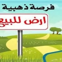 ٤ دوانم • طابو • قرب بوابة بغداد