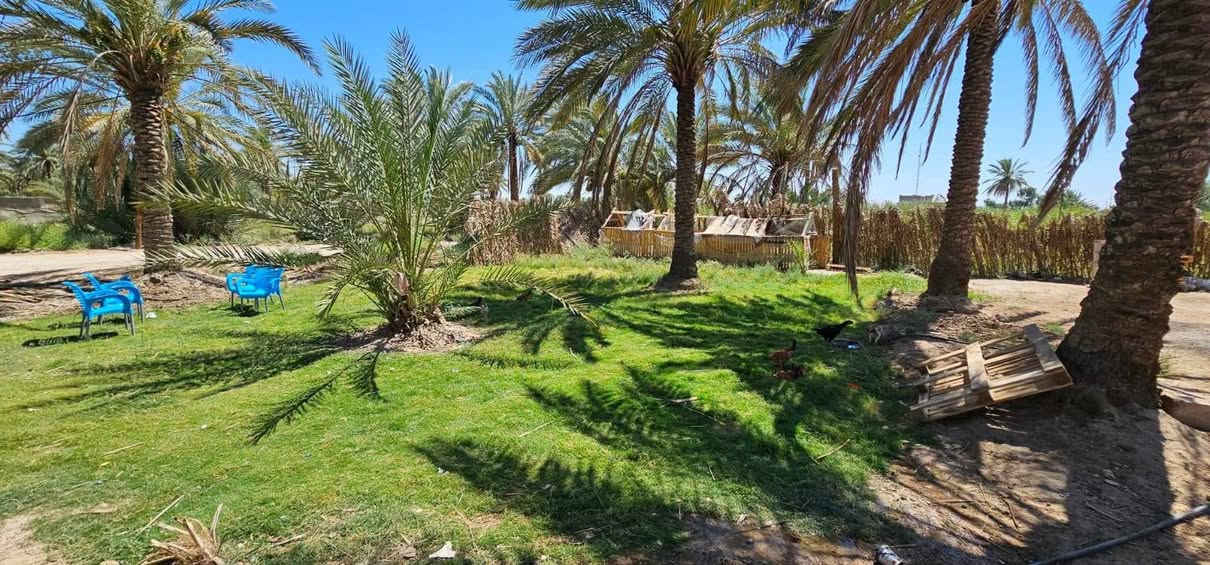 🏡 للبيع أرض مميزة على طريق كربلاء – بغداد

📍 الموقع: طريق كربلاء – بغداد، تيل 392، مجاورة محطة الأزهار.

📐 المساحة: دونمين وربع
📏 الواجهة: 28 متر، والباقي نزال.

✨ مميزات الموقع:
• تبعد حوالي 1 كم عن طريق الزوار
• تبعد فقط 200 متر عن التبليط
• قريبة من جميع الخدمات
• تحتوي على دار واستراحة
• جنس الأرض: سند 25 – تحويل أسهم

📌 موقع ممتاز للسكن والاستثمار، ومناسب للمشاريع والاستراحات.
♦️♦️السعر: 200 مليون وبيها مجال♦️♦️
📞 للاستفسار والحجز: ***********
