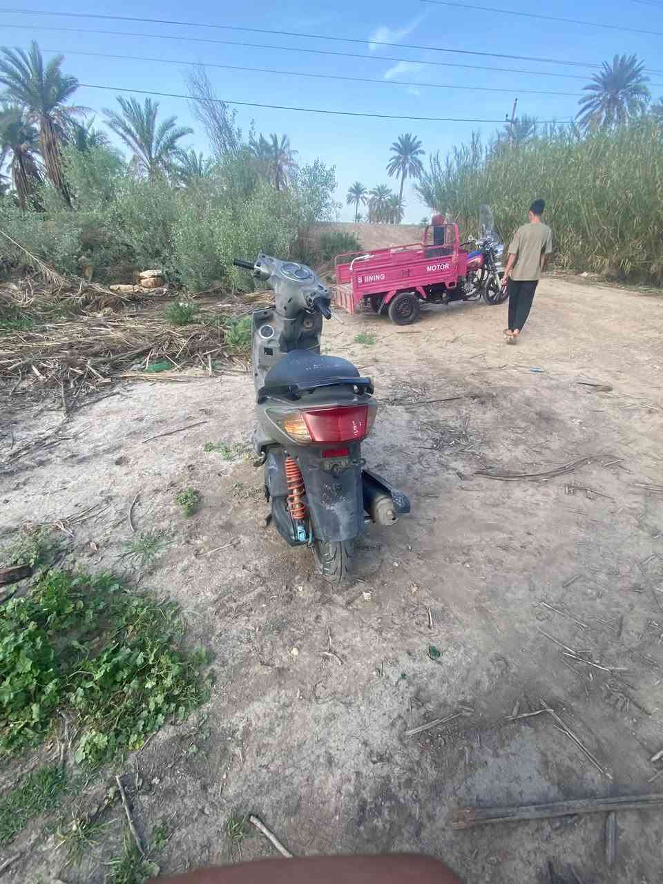 سلام عليكم سكنس فحل  جديده قبل شهر نزلته من الربه كفاله الاستفسار ***********
