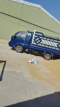 شراء حنطة • دفع نقدي • ٢٤ ساعة