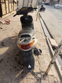 دولفين • فحل • ياباني