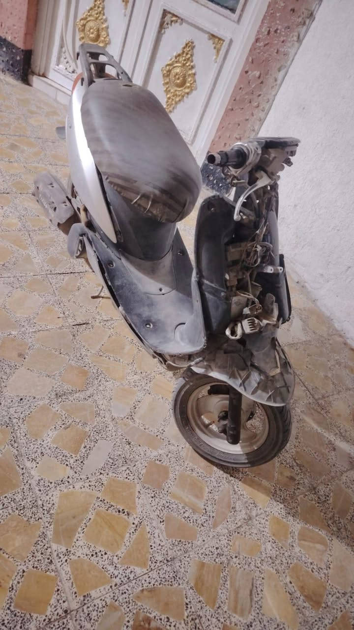 عصفوري • نضيفة • اوراق
