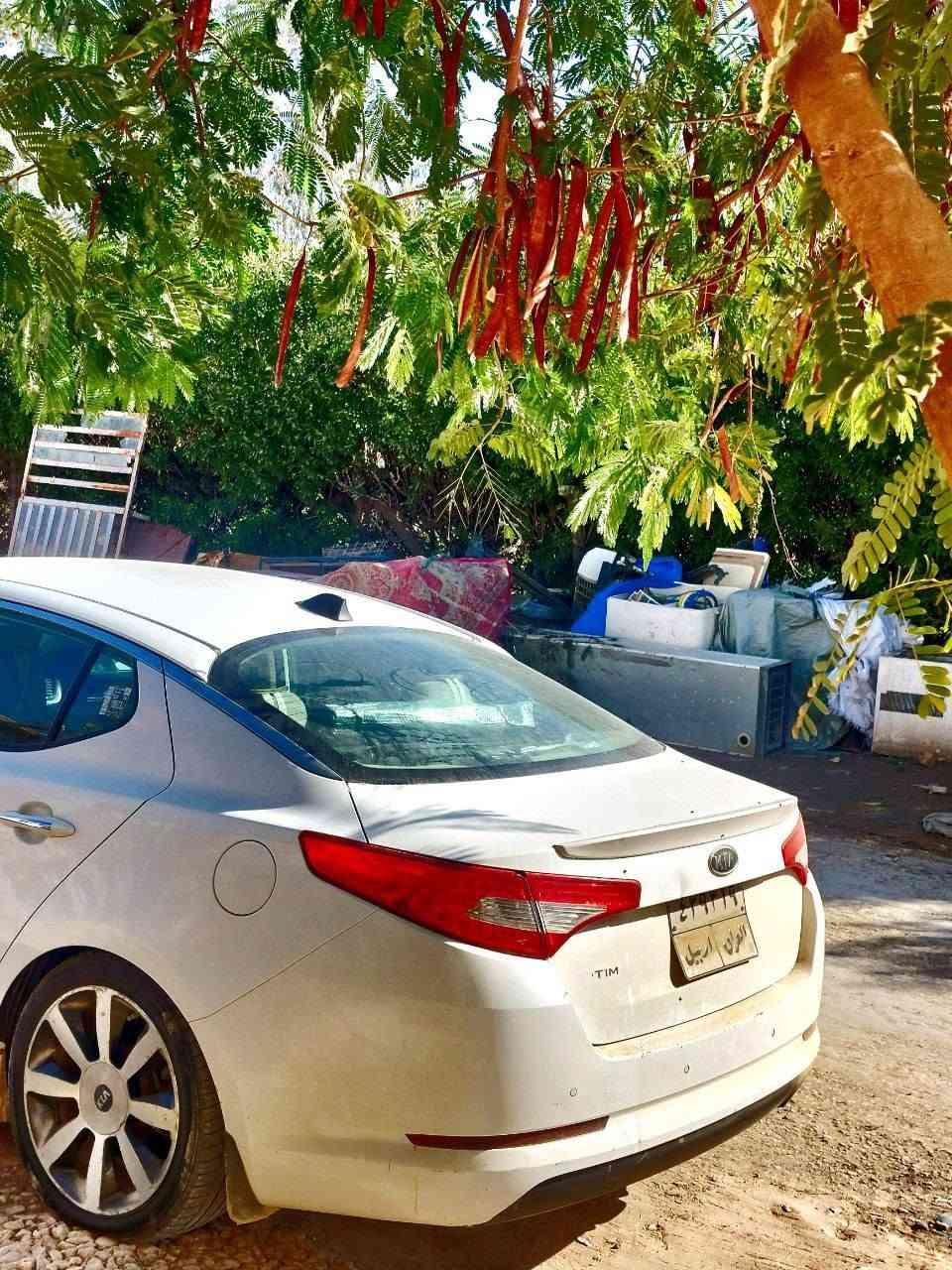السلام عليكم شباب سياره اوبيتما خليجي نص فول السياره لون ابيض كفاله عامه من الضربه وتجي وتفحص وتشوف السياره كدامك موديل 2011 السعر خاص وهاذه رقم صاحب السياره تحويل ثاني يوم شنويه موجوده ***********متوفر دائمن
