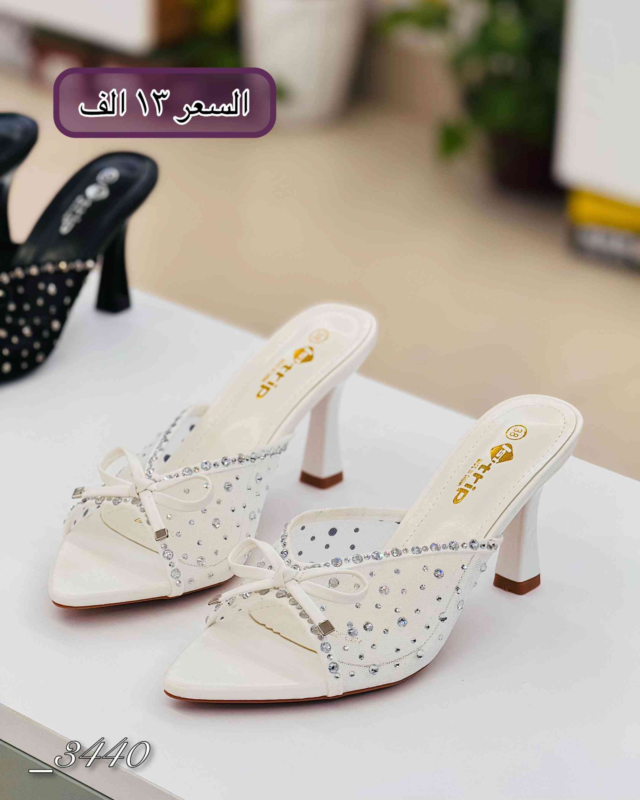النجف الاشرف • ٣٧_٤١ • توصيل
