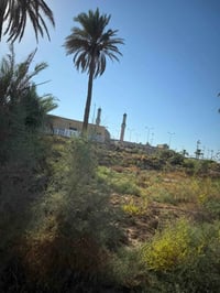 ارض زراعي • ٢٠٠م • خلف مول الجوهرة