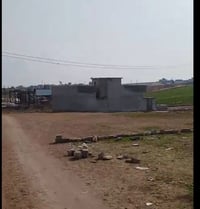 القوسيات • ١٥٥م • سند زراعي