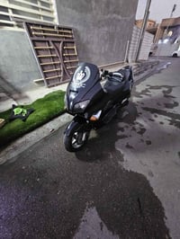 فورزا • ٠٦ • اي بي اس