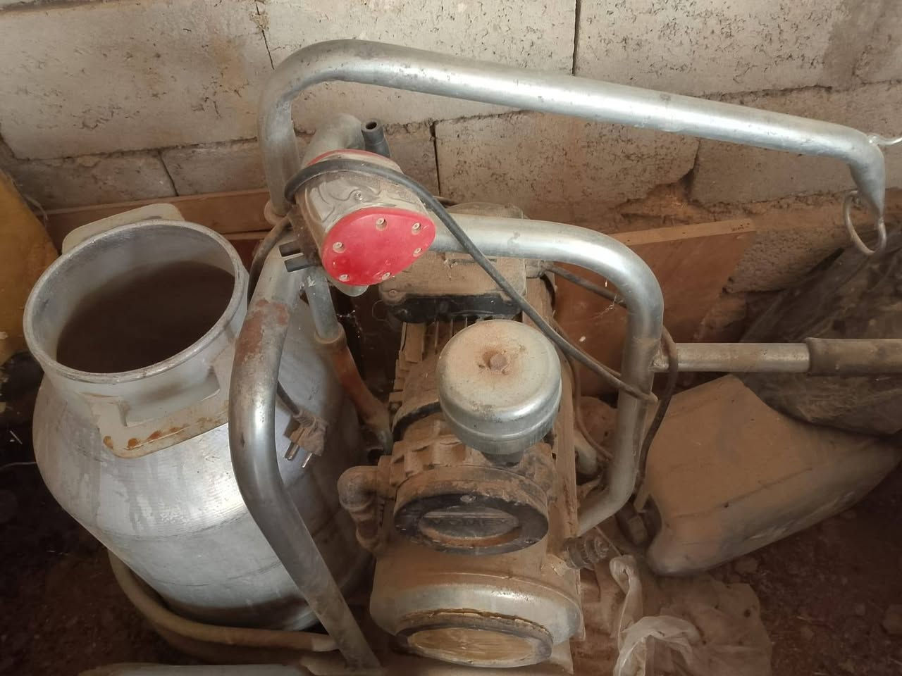 ماكينة حليب • أبقار • للبيع