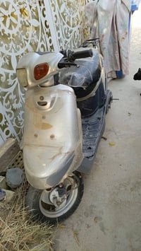 بطة • للبيع • غير متواجد