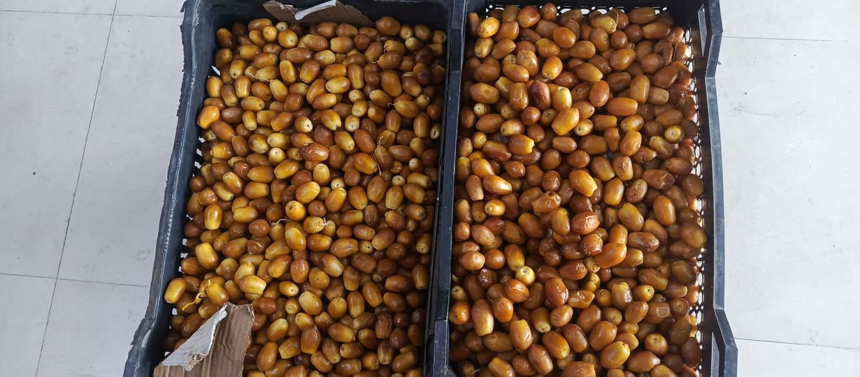 تمر برحي • تمر فضيخ • توصيل
