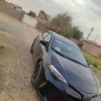 كورلا • ٢٠١٧ • رقم اربيل