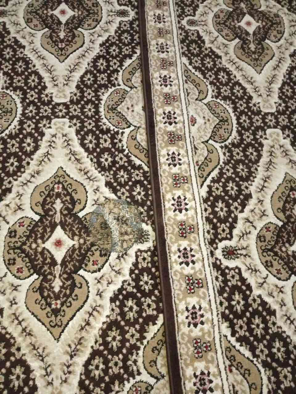 سجاد • مدات • ٢٠