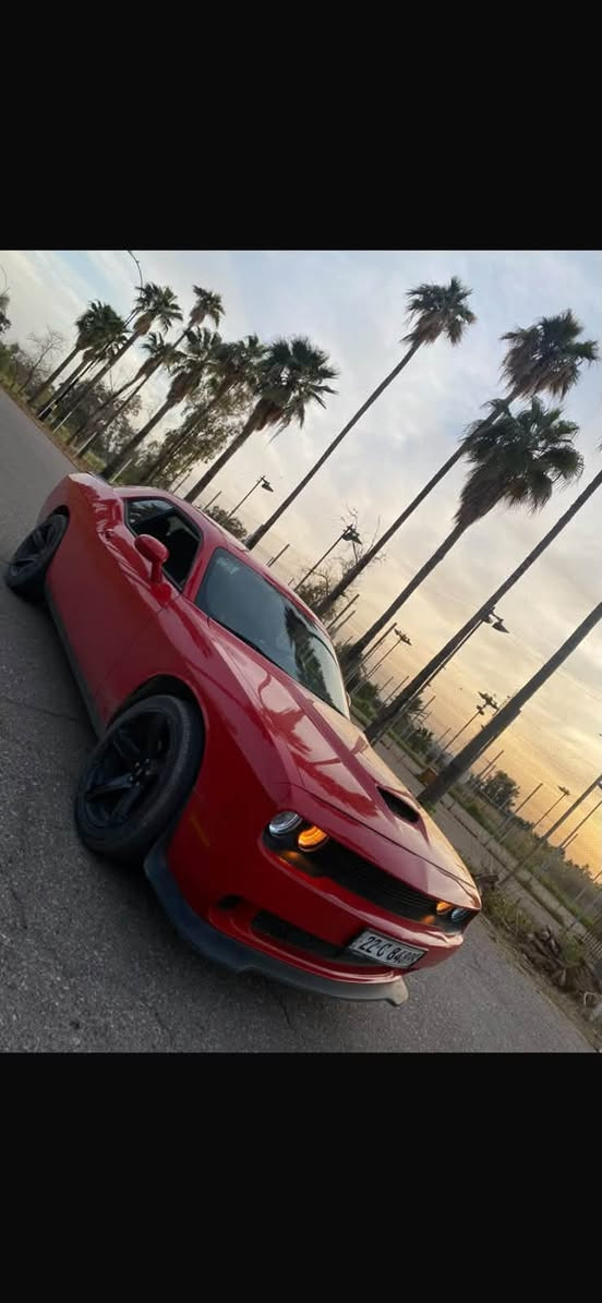 تشالنجر SXT • V6 ٣.٦ • رقم أربيل