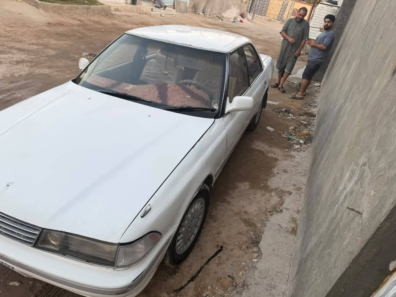 نضيفه • تبريد • نجف