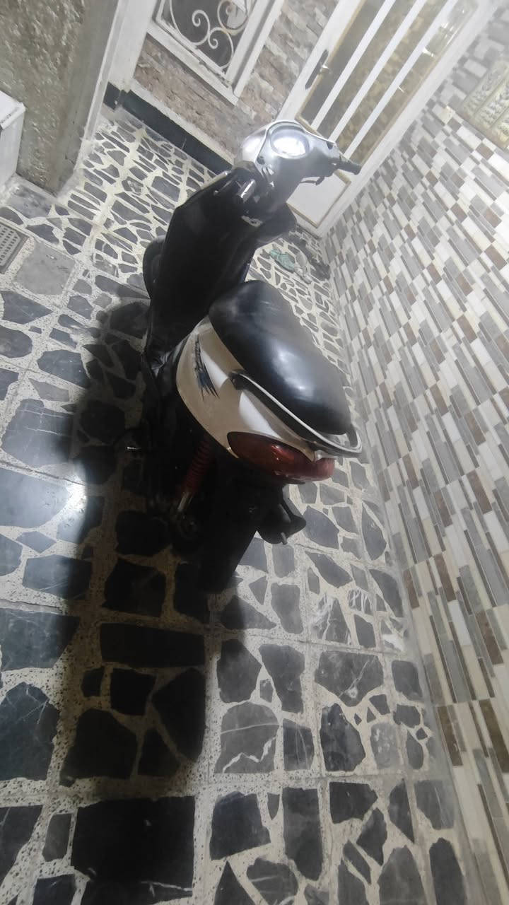 ماكس • بالشعب