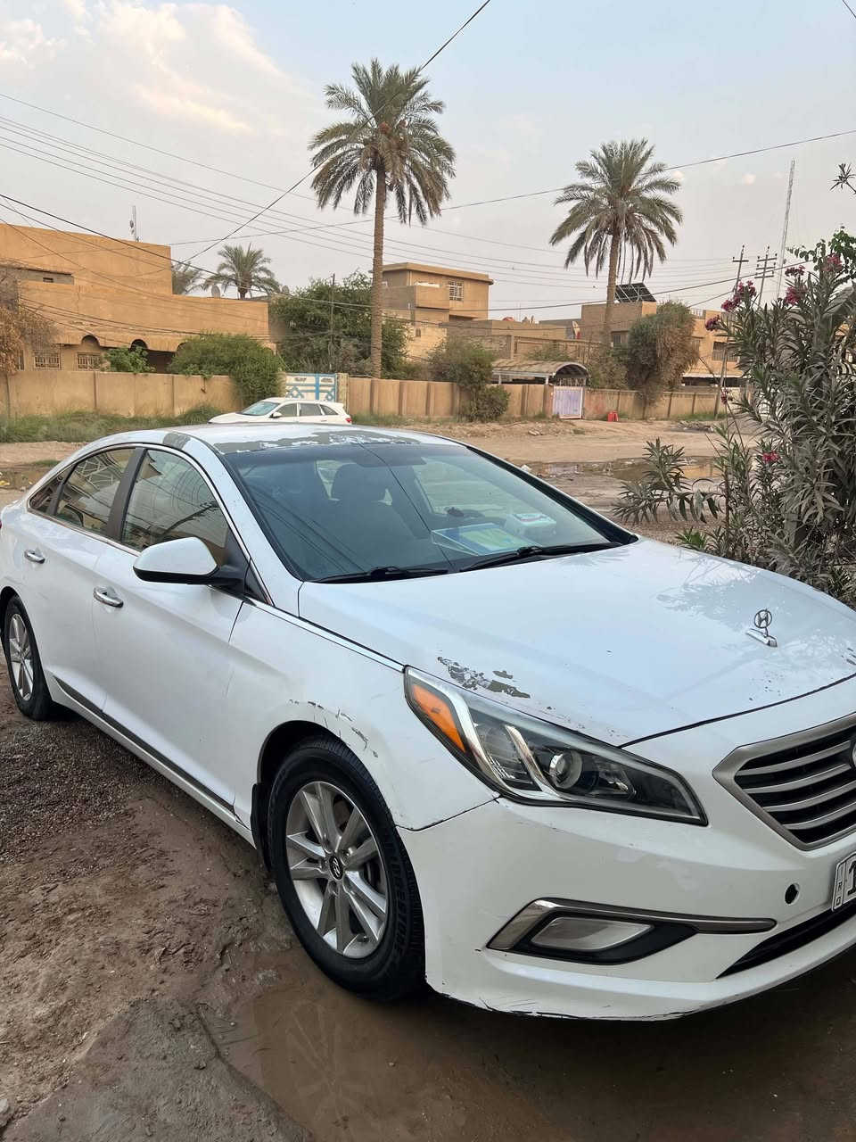 سوناته • ٢٠١٧ • رقم بابل