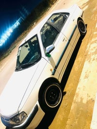 بارس • ٢٠١١ • رقم نجف