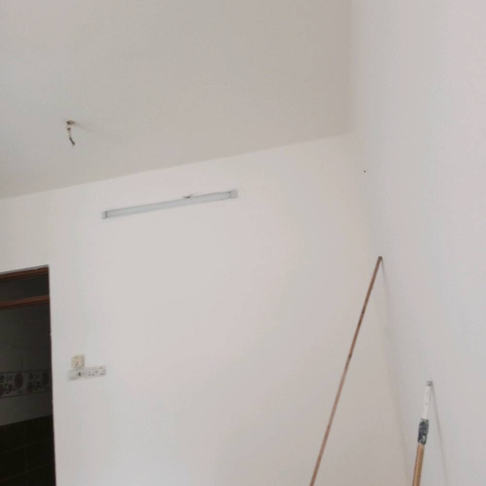 بغداد • صبغ بيوت • اسعار مناسبة