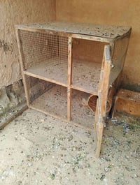 قفص واحد • نجف • مكتب الرشيد