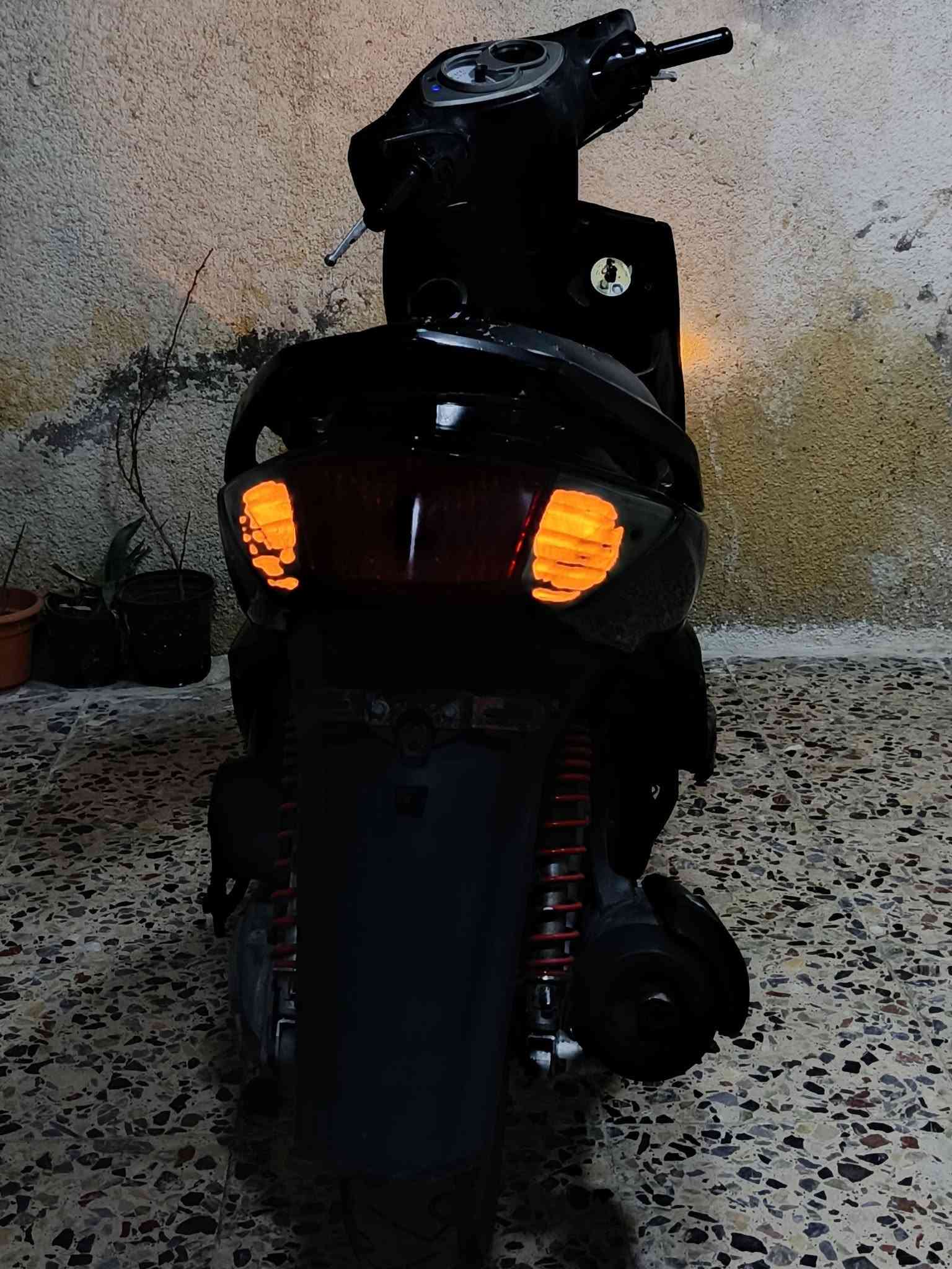 سكنس فحل • كابرتير • اوراق كامله