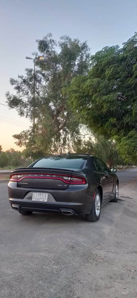 السلام عليكم
Dodge Charger 2016 Rallye
✨ سيارة مرتبة ونظيفة جداً، ومواصفاتها حلوة ومميزة.

🔹 الموديل: 2016
🔹 الفئة: Rallye
🔹 المحرك: 3.6 V6 Pentasta
🔹 الجير: أوتوماتيك 8 سرعات
🔹 دفع: [دفع خلفي / AWD]
🔹 فول مواصفات
🔹 شاشة ومزايا ترفيهية
🔹 صوت Beats
🔹 تحكم من الستيرن
🔹 رادار جانبي وخلفي ونقطه عمياء 
🔹 حادثه قطعه وحده فقط بنيد 
🔹 السيارة مثل ما مبين بالصور، محافظة ومرتبة
🔹 المكان: [بابل الحله]
🔹 للاستفسار: [***********]
