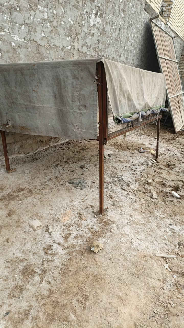 محجر مال فحل للبيع بي بوابات ينفتح اليفوك مكان بغداد مدينة صدر سعره 200 وتصال ***********
