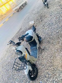 الريان ٢٠٢٥ • ٢٦ أمبير • كامل مكمل