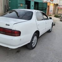 كرسته • مكفولة • جاهزة
