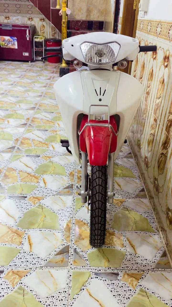 سرفيز • جديد