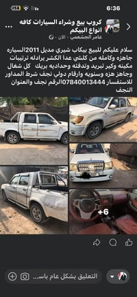 بيكاب شيري • ٢٠١١ • النجف
