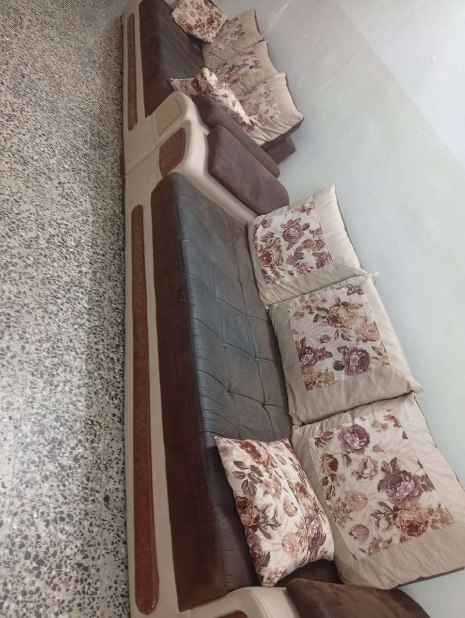 تخم قنفات للبيع ***********بي وتساب
