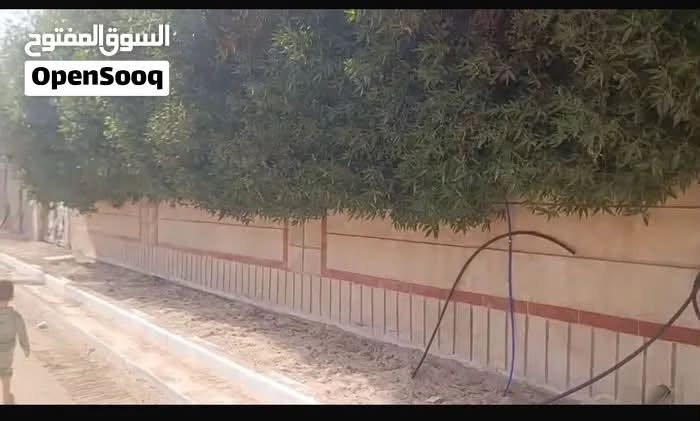 السلام عليكم من رخصه الادمن دار للبيع في منطقه دور النفط المركز الثقافي النفطي مساحه ٤٠٥ متر قرب مدرسه الذهب الاسود نزال٢٠ متر واجهه ٢٠متر  الشارع ١٠ متر البيت من الداخل مجدد وبناء اضافي يحتوي ٤ غرف نوم ثلاثه حمامات كراج حديقه غرفه غسيل مطبخ حار بارد ارضي ومطبخ في الطابق الثاني للتواصل *********** من المالك مباشرة
