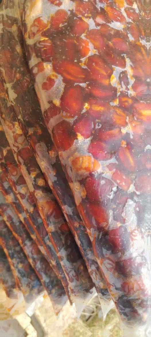 تمر خضراوي • شغل بيت • توصيل ميسان
