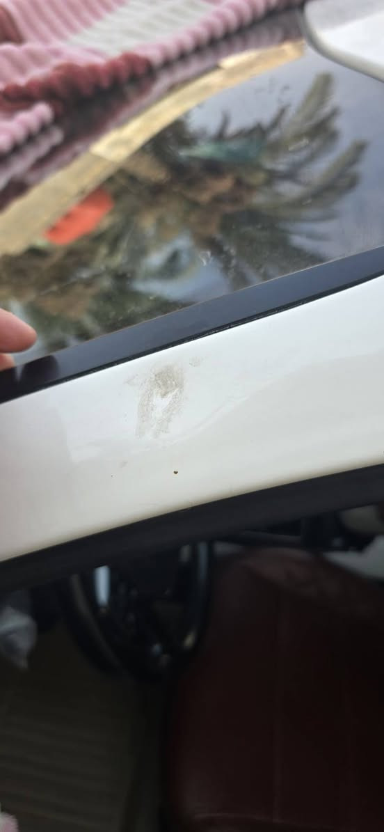 سلام عليكم
سيرنتوا للبيع خليجية كفالة عامة بأستثناء الرصعة مثل مامبين بصورة ستة سلندر محرك كارتون تبريد ثلج تواير امامية قبل سبوع بدلتهم سيارة نظيفة ماشية ٦٨ الف 
للأستفسار ع رقم تالي ***********
