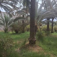 دونم ونص • تجارية • واجهة ٣٢