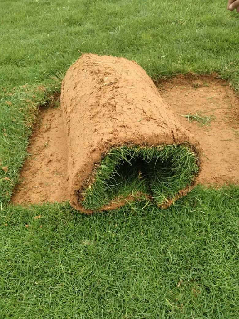 ثيل طبيعي • تركيب مشاريع • توصيل كل المحافظات