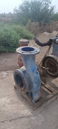 دويز • ٦بستم • خنزيرة ٨×١٠