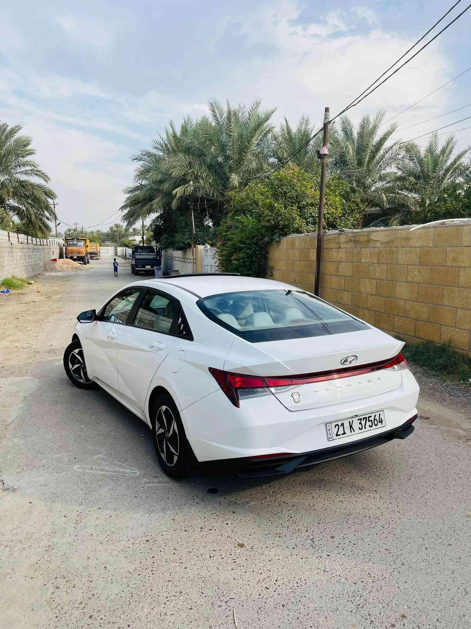 ألنترا ٢٠٢٣ • خليجي • بدون صبغ